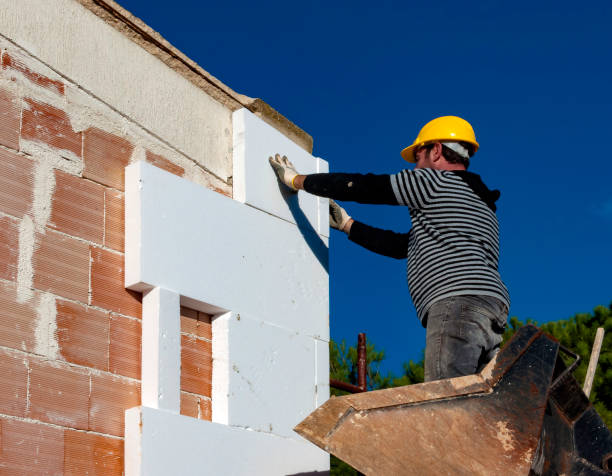 La Grulla, TX Insulation Contractor Pros