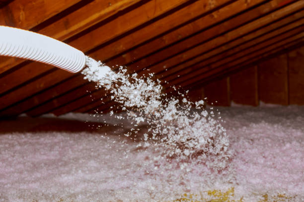 Best Insulation for Specific Applications in La Grulla, TX
