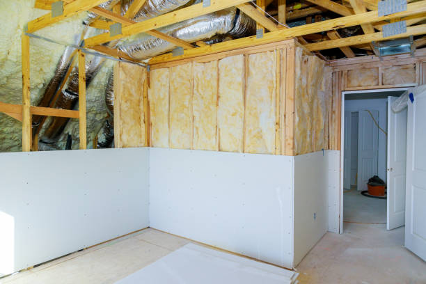 Best Insulation Materials and Products in La Grulla, TX