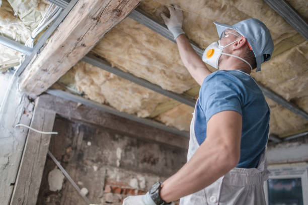 Best Insulation Installation Services in La Grulla, TX