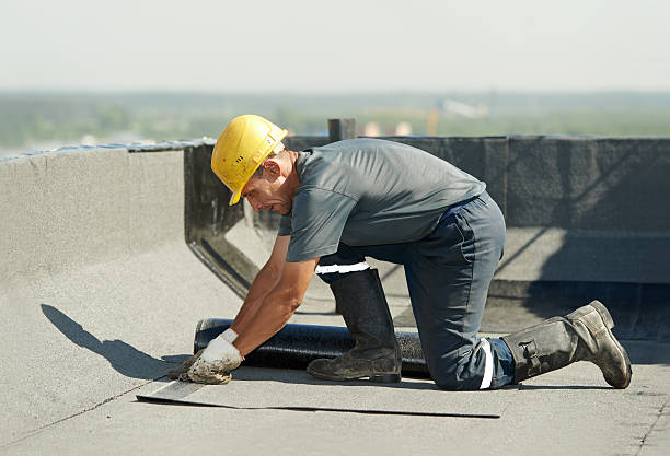 Best Types of Insulation in La Grulla, TX