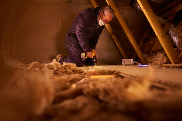 Best Specialty Insulation in La Grulla, TX